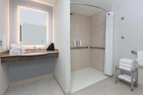 Hilton Garden Inn Dallas Arlington - image 20