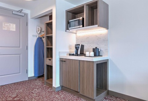 Hilton Garden Inn Dallas Arlington - image 3