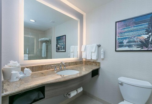 Hilton Garden Inn Dallas Arlington - image 31