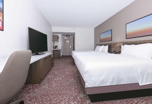 Hilton Garden Inn Dallas Arlington - image 35