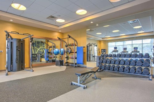 Hilton Garden Inn Dallas Arlington - image 37