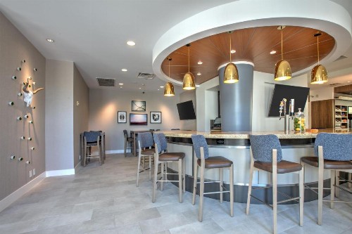 Hilton Garden Inn Dallas Arlington - image 42
