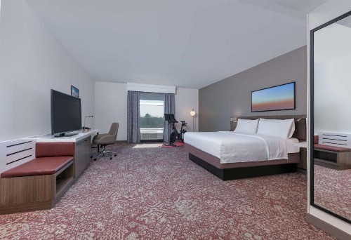 Hilton Garden Inn Dallas Arlington - image 46
