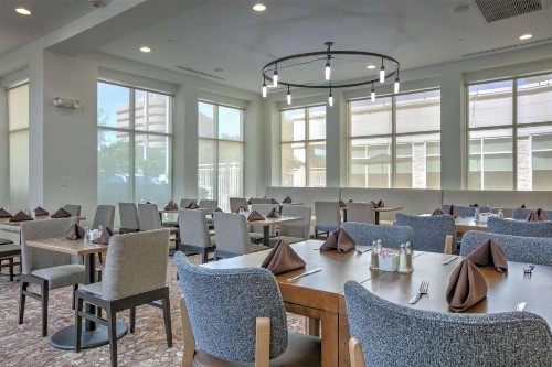 Hilton Garden Inn Dallas Arlington - image 47