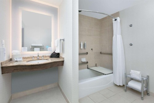Hilton Garden Inn Dallas Arlington - image 48