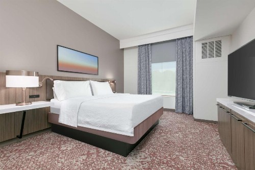 Hilton Garden Inn Dallas Arlington - image 7