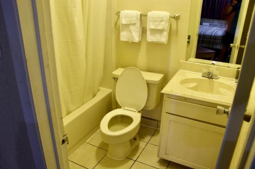 Executive Inn of Arlington - image 9
