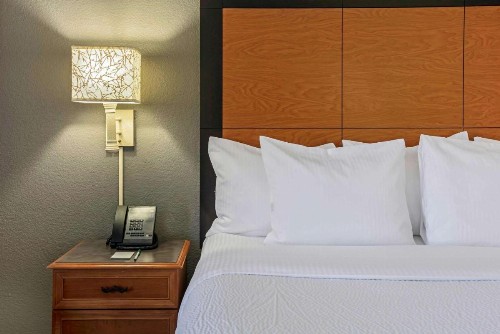 La Quinta by Wyndham Dallas Arlington South - image 19