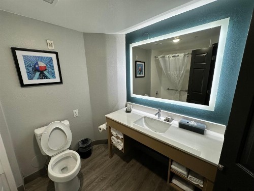 La Quinta by Wyndham Dallas Arlington South - image 41