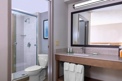 Hyatt Place-Dallas/Arlington - image 19