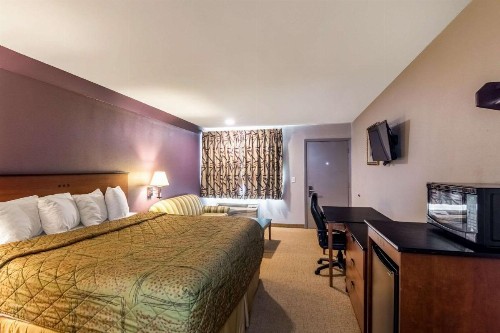 Rodeway Inn Arlington - image 2