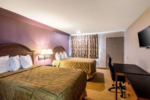 Rodeway Inn Arlington - image 6