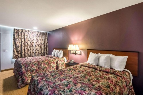 Rodeway Inn Arlington - image 9