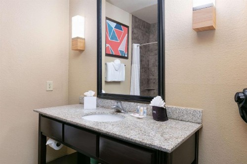 Comfort Suites Arlington - Entertainment District - image 24