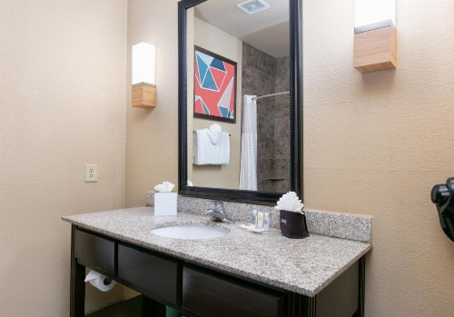 Comfort Suites Arlington - Entertainment District - image 27
