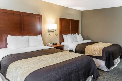 Comfort Inn Pentagon City - image 14