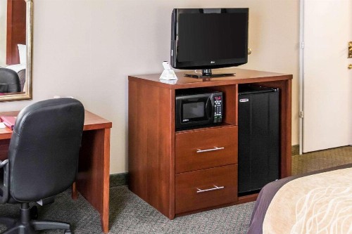 Comfort Inn Pentagon City - image 20