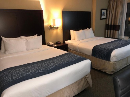 Comfort Inn Pentagon City - image 22