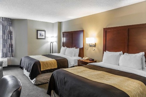 Comfort Inn Pentagon City - image 29