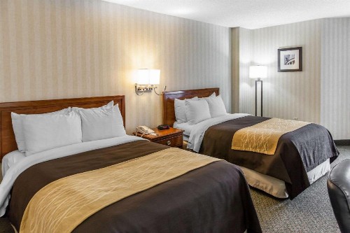 Comfort Inn Pentagon City - image 30