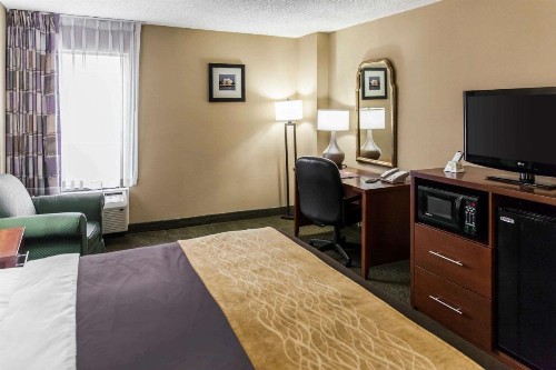 Comfort Inn Pentagon City - image 31