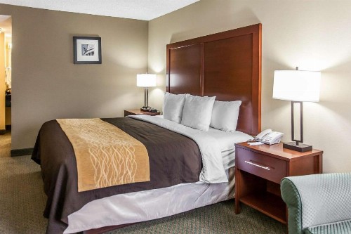 Comfort Inn Pentagon City - image 4