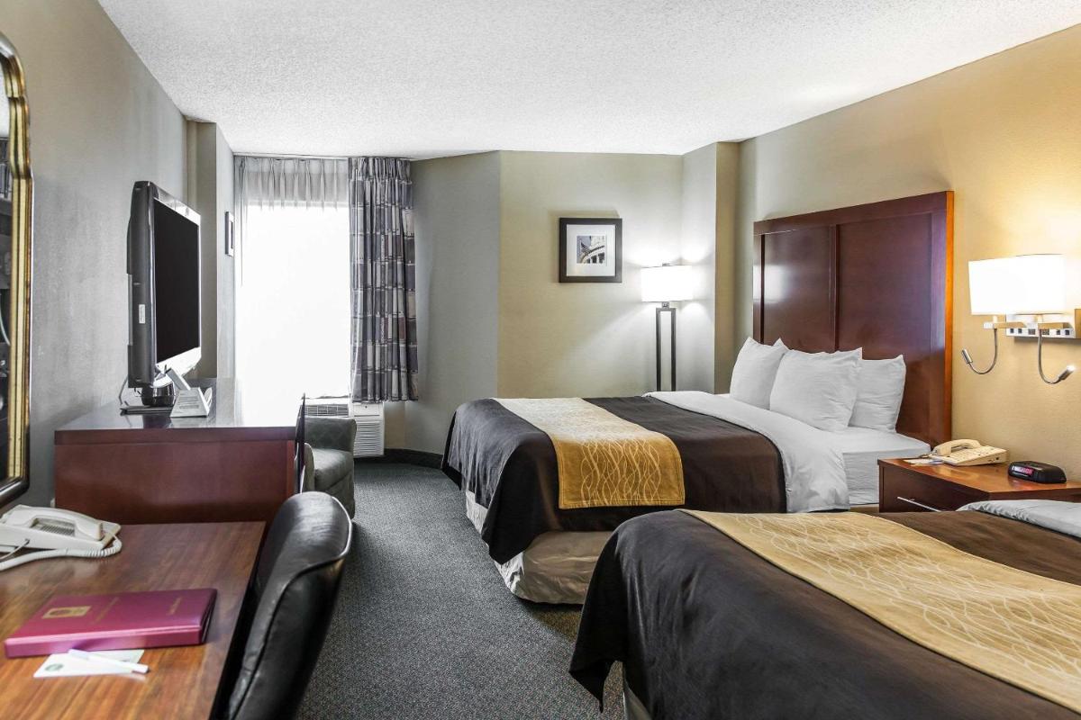 Comfort Inn Pentagon City - image 6