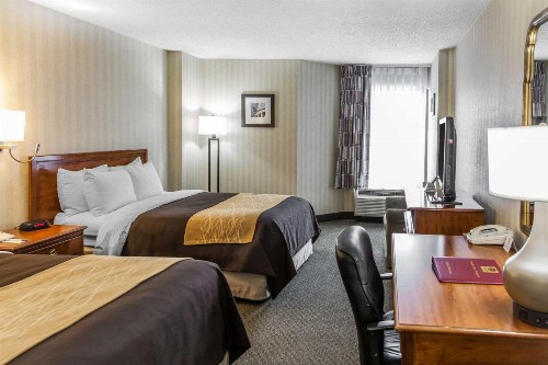 Comfort Inn Pentagon City - image 8