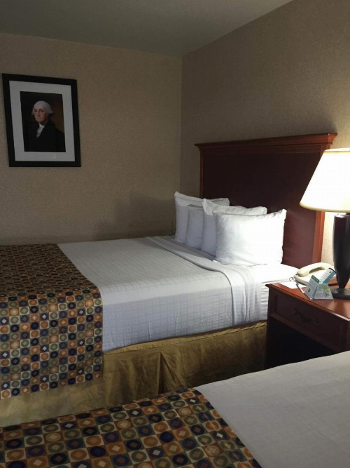 Hotel Pentagon - image 28