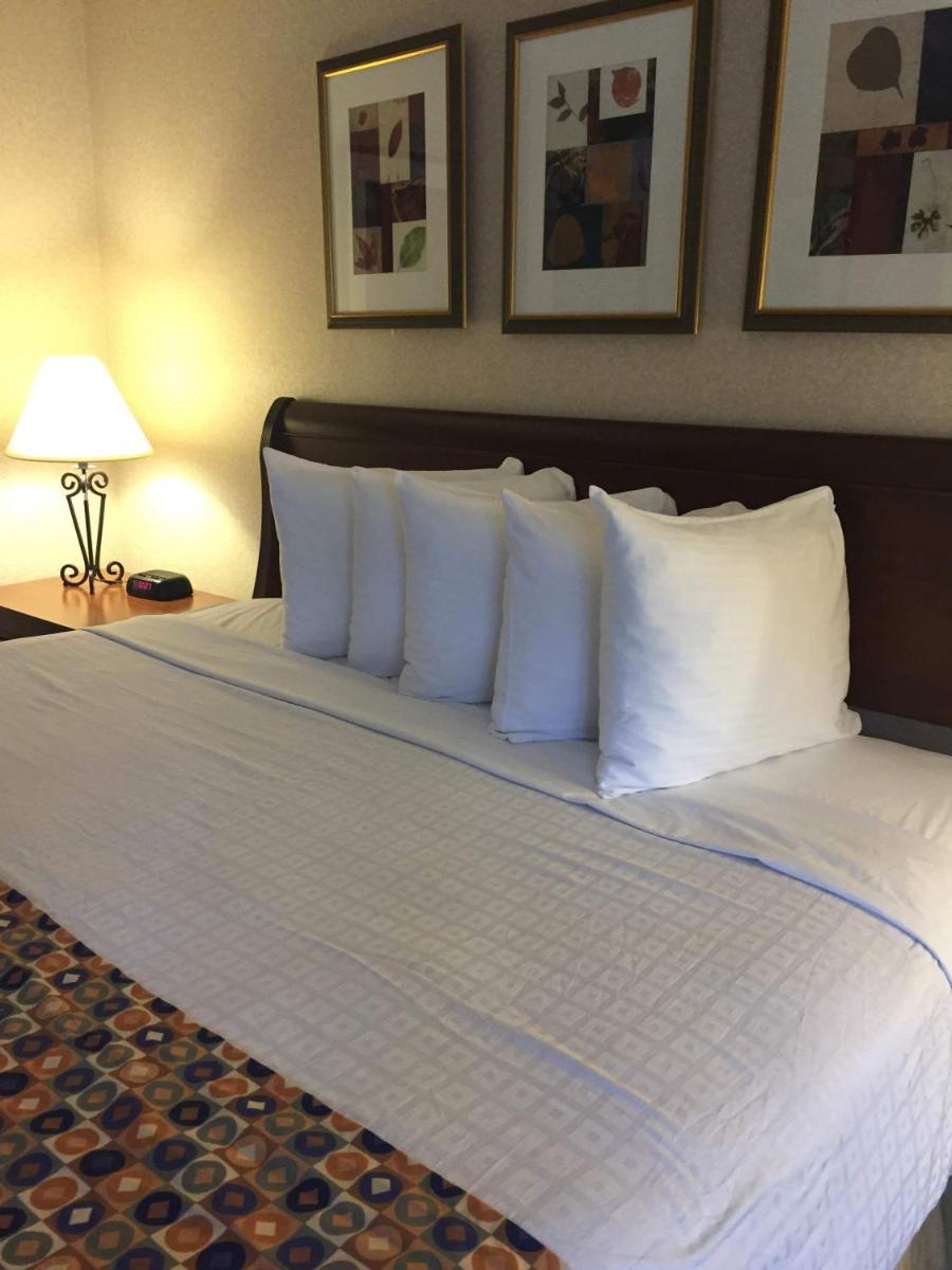 Hotel Pentagon - image 7