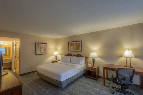 Holiday Inn Arlington at Ballston an IHG Hotel - image 24