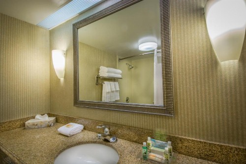 Holiday Inn Arlington at Ballston an IHG Hotel - image 45