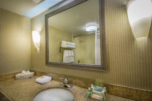 Holiday Inn Arlington at Ballston an IHG Hotel - image 48