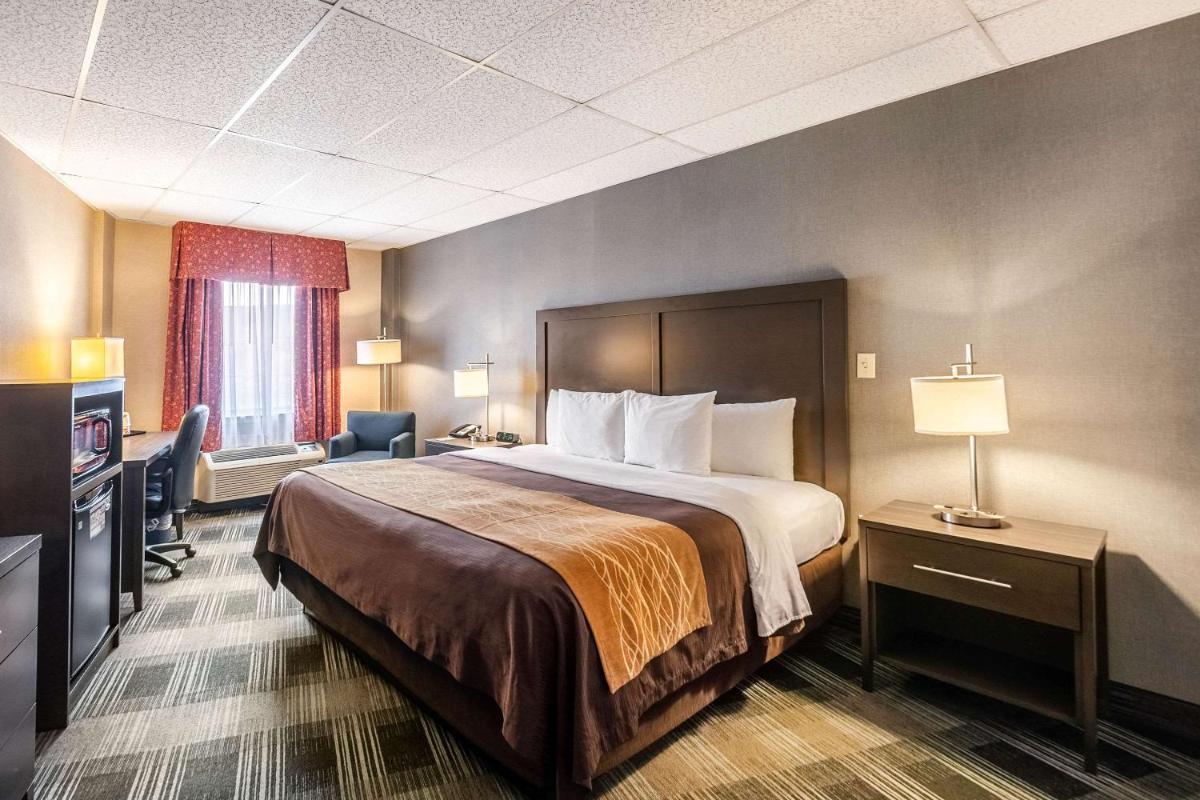 Comfort Inn Ballston - image 7