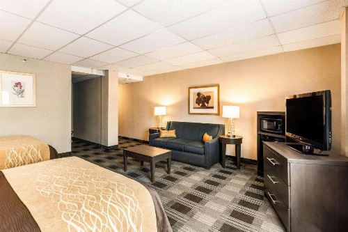Comfort Inn Ballston - image 12