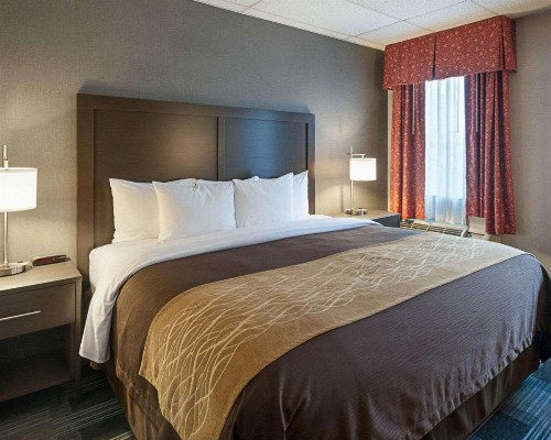 Comfort Inn Ballston - image 22