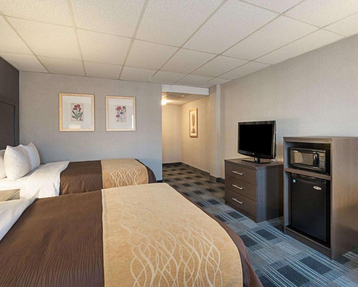 Comfort Inn Ballston - image 3