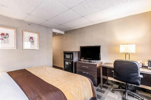 Comfort Inn Ballston - image 5