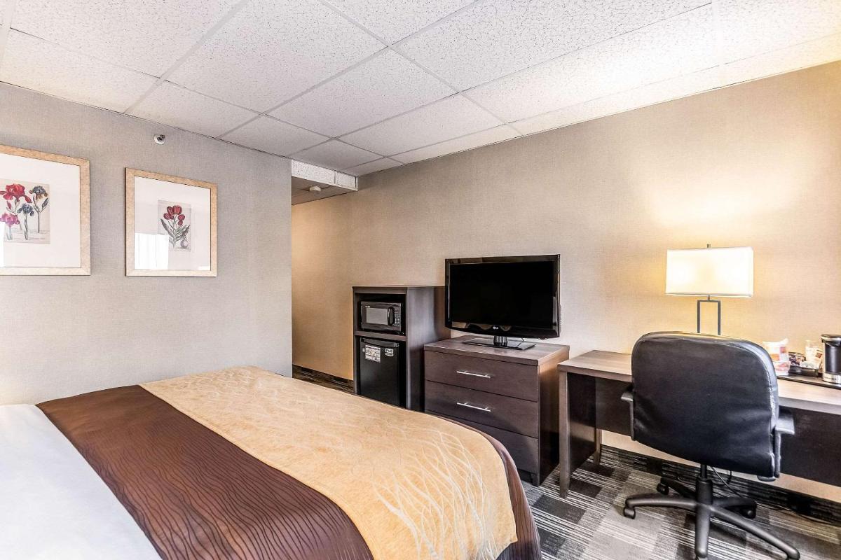 Comfort Inn Ballston - image 5