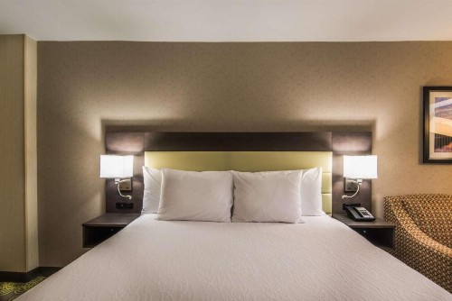 Hilton Garden Inn Reagan National Airport - image 49