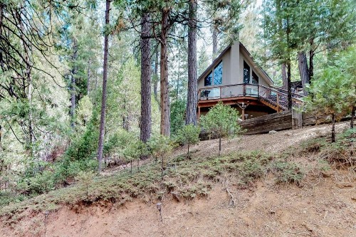 A Treehouse - image 12