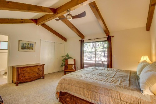Forest Haven - image 5