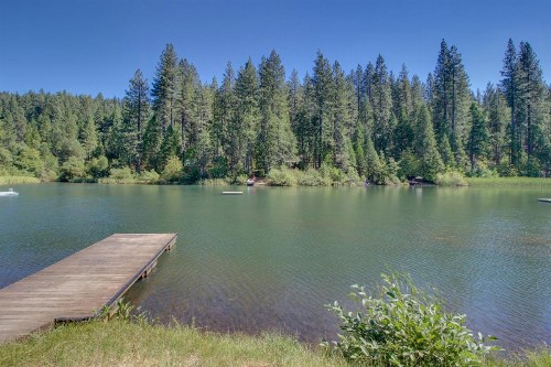 Forest Bears Hideout - image 10