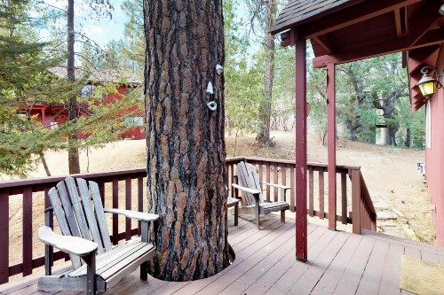 Forest Bears Hideout - image 12