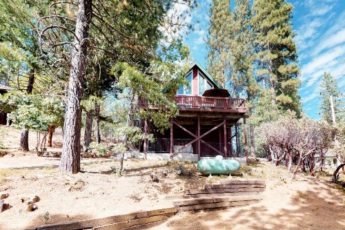 Forest Bears Hideout - image 7