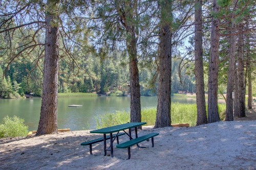 Forest Bears Hideout - image 8