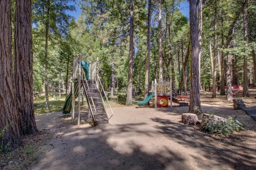 Sherwood Bear Cabin - image 10