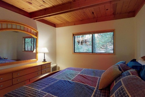 Pine Paradise - image 10