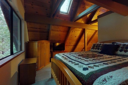 Pine Paradise - image 7