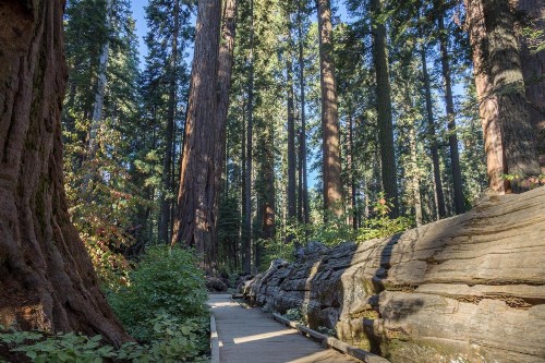 Hermit's Hideaway - image 7